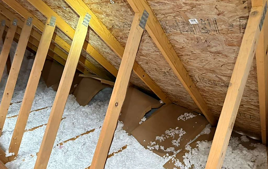 Attic Cleaning