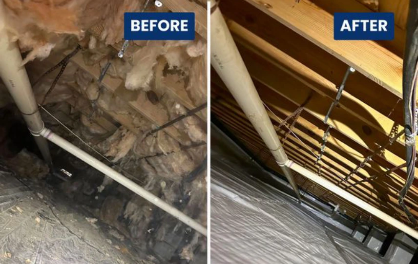crawl-space-cleanout